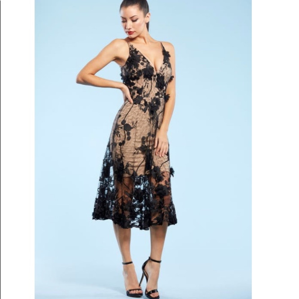 Dress the Population Black and Tan Lace Midi Dress